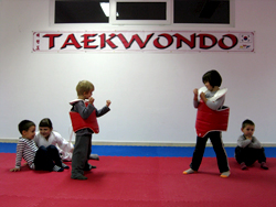 mala skola tkd kwon